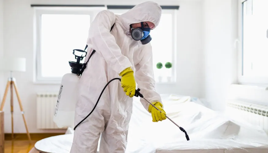 مكافحة الحشرات