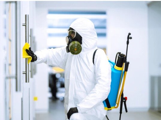 شركة مكافحة القوارض