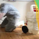شركة مكافحة حشرات بالدمام شركة رش مبيدات بالدمام شركة مكافحة الحشرات بالدمام شركة رش حشرات بالدمام