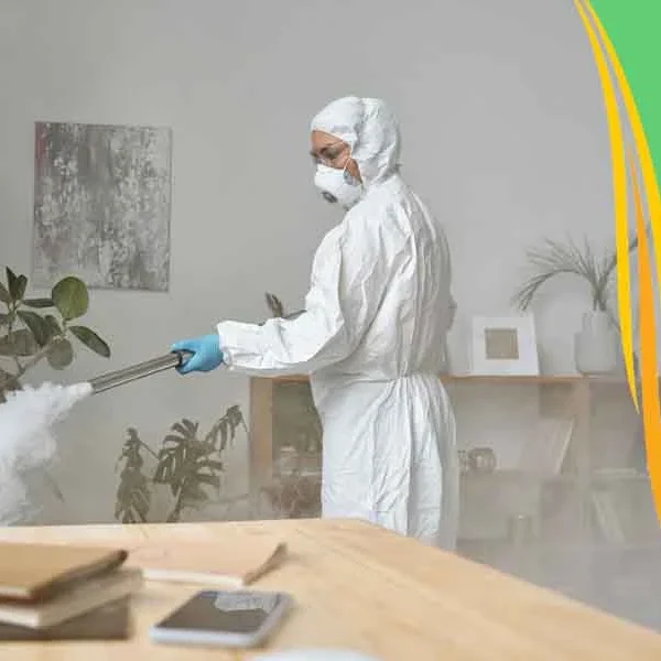 شركة مكافحة حشرات بالاحساء شركة مكافحة الحشرات بالاحساء شركة رش حشرات بالاحساء شركة رش مبيدات بالاحساء