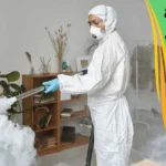 شركة مكافحة حشرات بالخبر شركة رش مبيدات بالخبر شركه مكافحة حشرات بالخبر